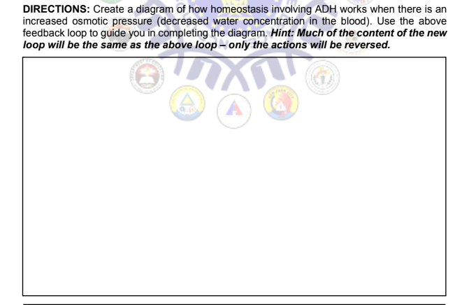 DIRECTIONS: Create a diagram of how homeostasis involving ADH works when there is an
increased osmotic pressure (decreased water concentration in the blood). Use the above
feedback loop to guide you in completing the diagram. Hint: Much of the content of the new
loop will be the same as the above loop - only the actions will be reversed.
X