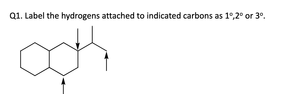 Q1. Label the hydrogens attached to indicated carbons as 1º,2º or 3⁰.