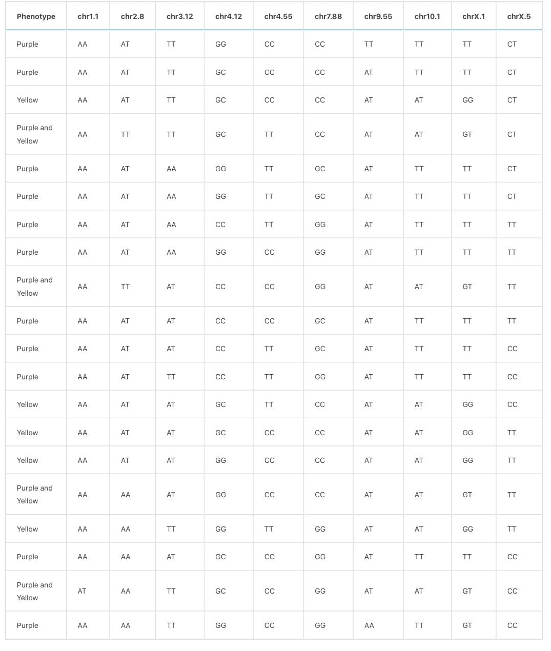 Phenotype
chr1.1
chr2.8
chr3.12
chr4.12
chr4.55
chr7.88
chr9.55
chr10.1
chrX.1
chrX.5
Purple
AA
AT
Purple
AA
AT
F
F
GG
GC
80
CC
CC
TT
TT
TT
CT
80
CC
CC
AT
TT
TT
CT
8
CC
CC
AT
AT
GG
CT
GC
TT
CC
AT
AT
GT
10
CT
Yellow
AA
AT
TT
GC
Purple and
AA
TT
Yellow
F
Purple
AA
AT
AA
GG
TT
GC
AT
TT
TT
CT
Purple
AA
AT
AA
GG
TT
GC
AT
TT
TT
CT
Purple
AA
AT
AA
Purple
AA
AT
AA
80
CC
TT
GG
AT
TT
TT
TT
646
GG
CC
GG
AT
TT
TT
TT
Purple and
AA
TT
AT
CC
80
Yellow
80
CC
GG
AT
AT
GT
TT
Purple
AA
AT
AT
CC
CC
GC
AT
F
TT
TT
TT
E
Purple
AA
AT
AT
CC
TT
GC
AT
TT
TT
CC
Purple
AA
AT
E
00
CC
TT
GG
AT
TT
TT
CC
Yellow
AA
AT
AT
GC
TT
00
CC
AT
AT
GG
CC
80
TT
E
AT
AT
GC
CC
CC
AT
AT
GG
TT
Yellow
AA
AT
AT
GG
CC
CC
AT
AT
GG
Yellow
AA
ধ
80
CC
CC
AT
AT
GT
TT
GG
TT
GG
AT
AT
GG
TT
Purple and
AA
AA
AT
GG
Yellow
Yellow
AA
AA
F
80
CC
GG
AT
TT
TT
CC
80
GC
CC
GG
AT
AT
GT
CC
Purple
AA
AA
AT
GC
Purple and
AT
AA
Yellow
Purple
AA
AA
F
F
GG
80
CC
GG
AA
TT
GT
CC