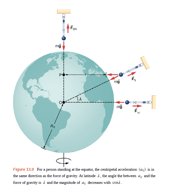 P.
mg
SE
RE
Figure 13.9 For a person standing at the equator, the centripetal acceleration (ac) is in
the same direction as the force of gravity. At latitude 1, the angle the between ac and the
force of gravity is i and the magnitude of ac decreases with cosi.
