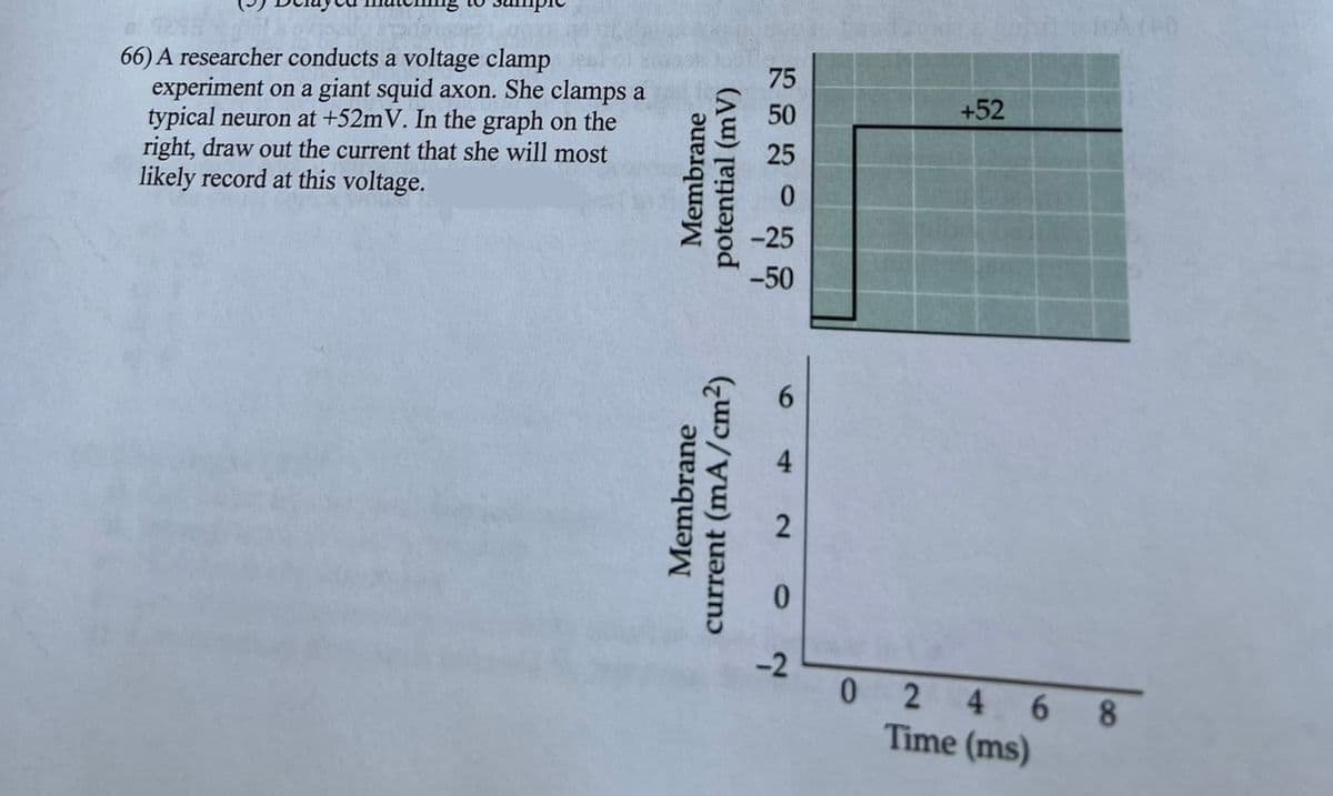 66) A researcher conducts a voltage clamp
experiment on a giant squid axon. She clamps a
typical neuron at +52mV. In the graph on the
right, draw out the current that she will most
likely record at this voltage.
Membrane
potential (mV)
Membrane
current (mA/cm²)
75
50
25
-25
-50
2
-2
+52
024 68
Time (ms)