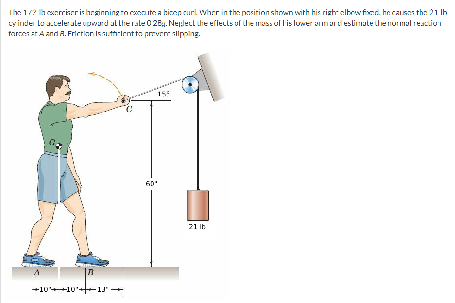 The 172-lb exerciser is beginning to execute a bicep curl. When in the position shown with his right elbow fixed, he causes the 21-lb
cylinder to accelerate upward at the rate 0.28g. Neglect the effects of the mass of his lower arm and estimate the normal reaction
forces at A and B. Friction is sufficient to prevent slipping.
A
G
B
10"10"13"
C
15°
60"
21 lb