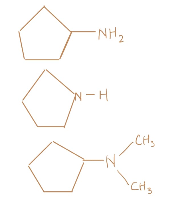 NH2
CHs
N.
CH3
