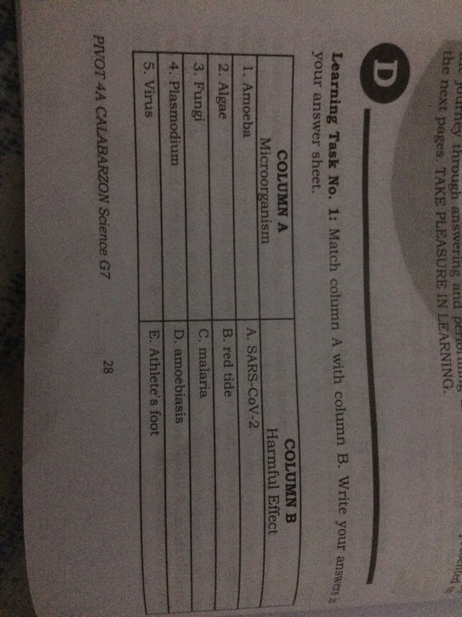 Journey through answering and perl
ae next pages. TAKE PLEASURE IN LEARNING.
D
Learning Task No. 1: Match column A with column B. Write your answer
your answer sheet.
COLUMN A
COLUMN B
Microorganism
Harmful Effect
1. Amoeba
A. SARS-CoV-2
2. Algae
B. red tide
3. Fungi
C. malaria
4. Plasmodium
D. amoebiasis
5. Virus
E. Athlete's foot
28
PIVOT 4A CALABARZON Science G7
