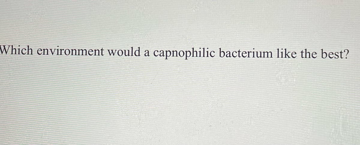 Which environment would a capnophilic bacterium like the best?
