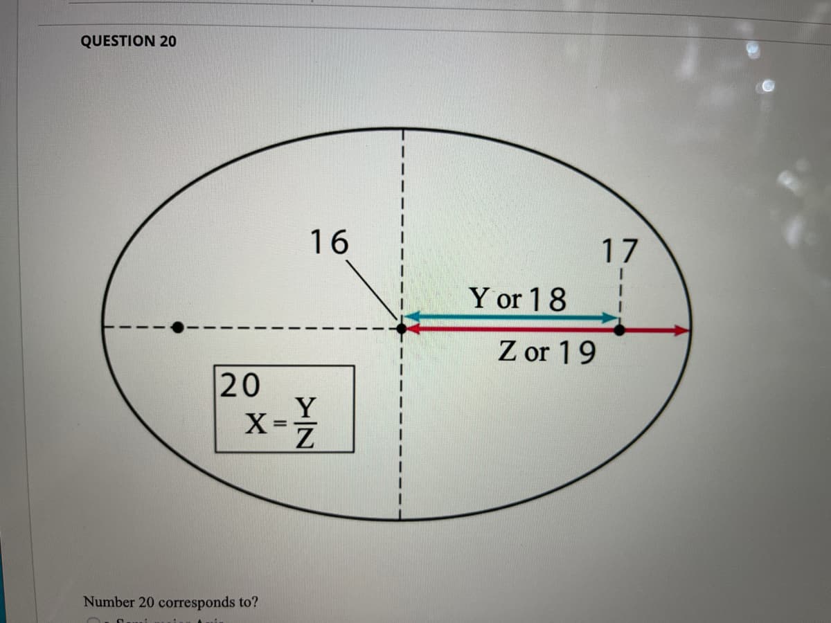 QUESTION 20
16
17
Y or 18
Z or 19
20
Y
X =
x-
Number 20 corresponds to?
