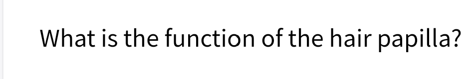 What is the function of the hair papilla?
