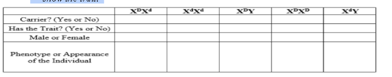 XºXª
X4Xª
XPY
XºXD
XªY
Carrier? (Yes or No)
Has the Trait? (Yes or No)
Male or Female
Phenotype or Appearance
of the Individual
