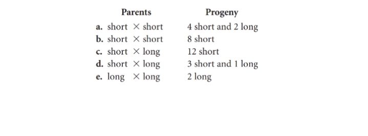 Parents
Progeny
a. short X short
4 short and 2 long
b. short X short
c. short × long
d. short × long
8 short
12 short
3 short and 1 long
2 long
e. long X long
