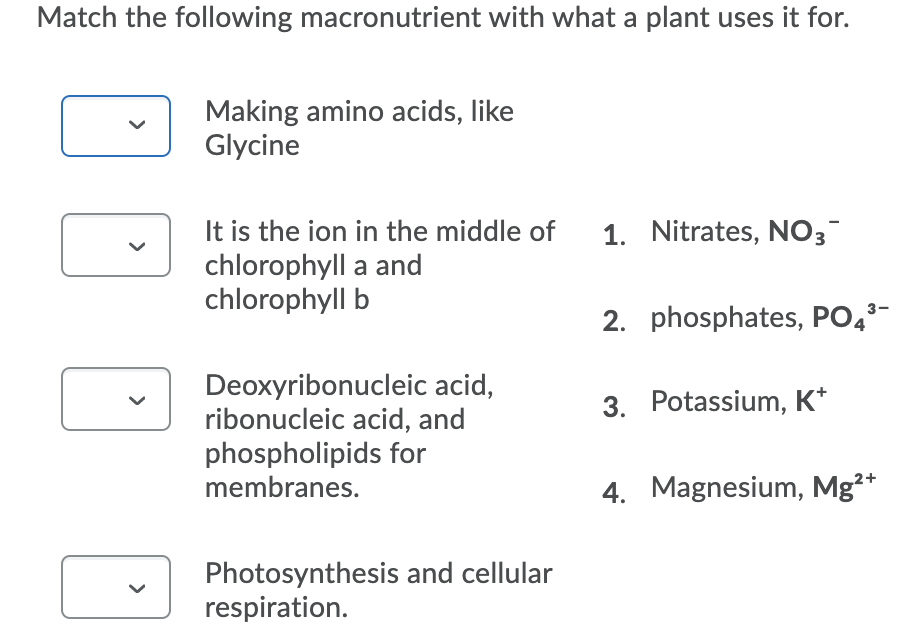 Match the following macronutrient with what a plant uses it for.
Making amino acids, like
Glycine
It is the ion in the middle of
chlorophyll a and
chlorophyll b
1. Nitrates, NO3
2. phosphates, PO4*-
Deoxyribonucleic acid,
ribonucleic acid, and
phospholipids for
membranes.
3. Potassium, K*
4. Magnesium, Mg²+
Photosynthesis and cellular
respiration.
>
>
>
