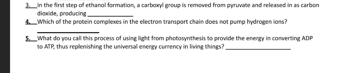 3._In the first step of ethanol formation, a carboxyl group is removed from pyruvate and released in as carbon
dioxide, producing.
4. Which of the protein complexes in the electron transport chain does not pump hydrogen ions?
5. What do you call this process of using light from photosynthesis to provide the energy in converting ADP
to ATP, thus replenishing the universal energy currency in living things?
