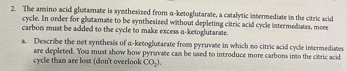 2. The amino acid glutamate is synthesized from a-ketoglutarate, a catalytic intermediate in the citric acid
cycle. In order for glutamate to be synthesized without depleting citric acid cycle intermediates, more
carbon must be added to the cycle to make excess a-ketoglutarate.
a.
Describe the net synthesis of a-ketoglutarate from pyruvate in which no citric acid cycle intermediates
are depleted. You must show how pyruvate can be used to introduce more carbons into the citric acid
cycle than are lost (don't overlook CO₂).