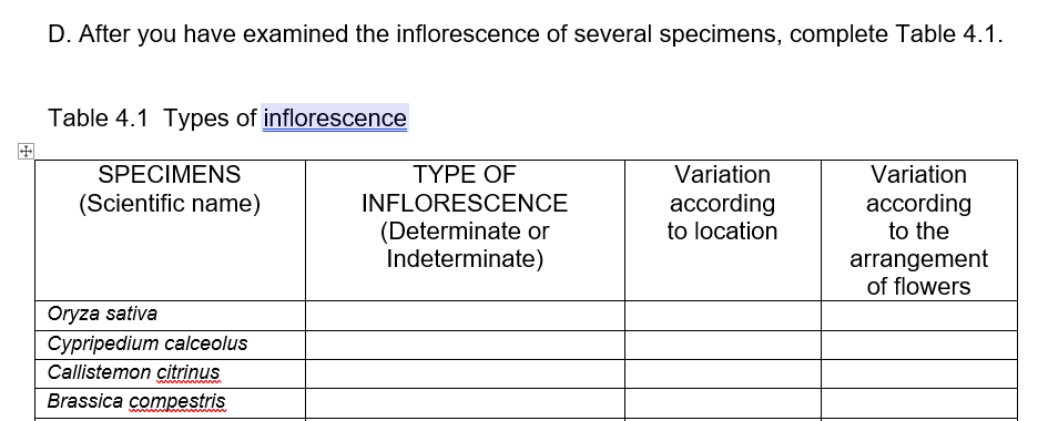 D. After you have examined the inflorescence of several specimens, complete Table 4.1.
Table 4.1 Types of inflorescence
SPECIMENS
ΤΥΡE ΟF
Variation
Variation
(Scientific name)
according
to location
INFLORESCENCE
асcording
to the
(Determinate or
Indeterminate)
arrangement
of flowers
Oryza sativa
Cypripedium calceolus
Callistemon citrinus
w
Brassica compestris

