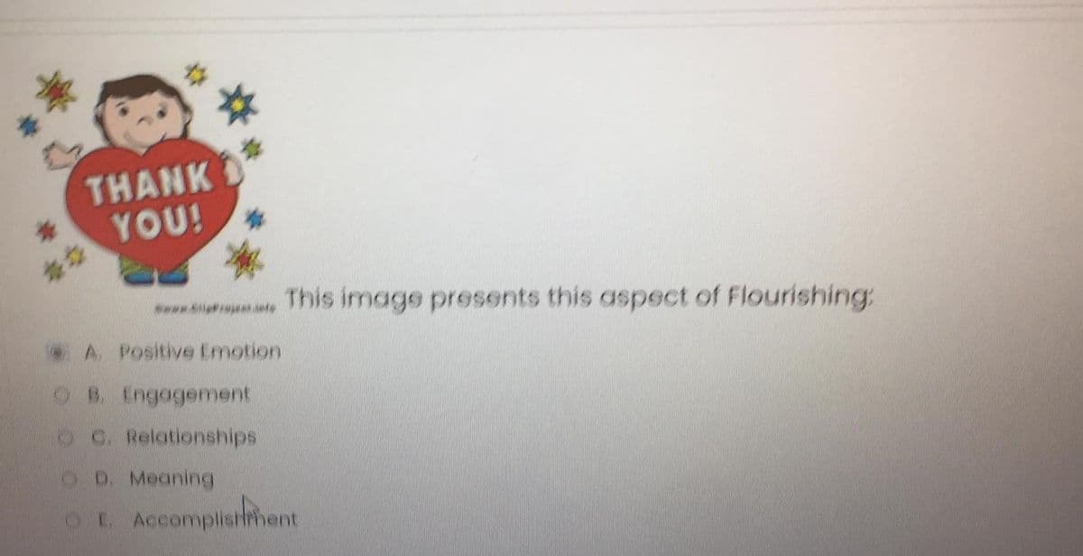 THANK
YOU!
This image presents this aspect of Flourishing:
A. Positive Enmotion
OB. Engagement
C. Relationships
D. Meaning
OL Accompliathent
E Accomplisthent
