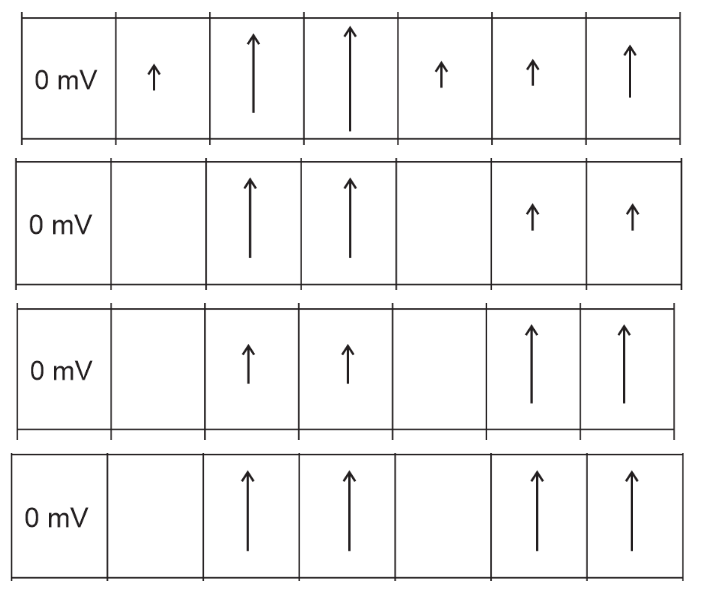 0 mV
0 mV
0 mV
0 mV
个
↑
↑
1
1
个
↑
个
个
个
↑
→>>
↑↑
11