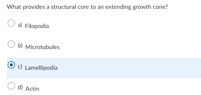 What provides a structural core to an extending growth cone?
a) Filopodia
b) Microtubules
c) Lamellipodia
d) Actin