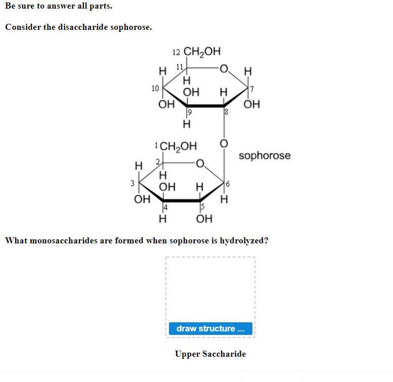 Be sure to answer all parts.
Consider the disaccharide sophorose.
7
OH
OH
1 CH₂OH 0
sophorose
0.
3
ОН Н
ОН
15
ОН
What monosaccharides are formed when sophorose is hydrolyzed?
.
.
draw structure ...
Upper Saccharide
H
10
н
-I0-I
12 CH2OH
IO-I
Н
OH
Н
О
00 I
6
Н
I
