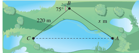 220 m
Co-
75°
B
x m
A