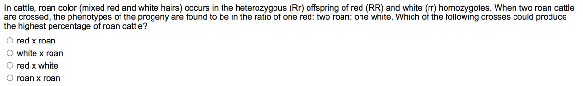 In cattle, roan color (mixed red and white hairs) occurs in the heterozygous (Rr) offspring of red (RR) and white (rr) homozygotes. When two roan cattle
are crossed, the phenotypes of the progeny are found to be in the ratio of one red: two roan: one white. Which of the following crosses could produce
the highest percentage of roan cattle?
red x roan
white x roan
red x white
roan x roan
