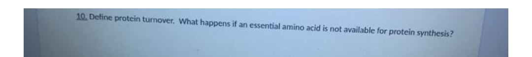 10. Define protein turnover. What happens if an essential amino acid is not available for protein synthesis?