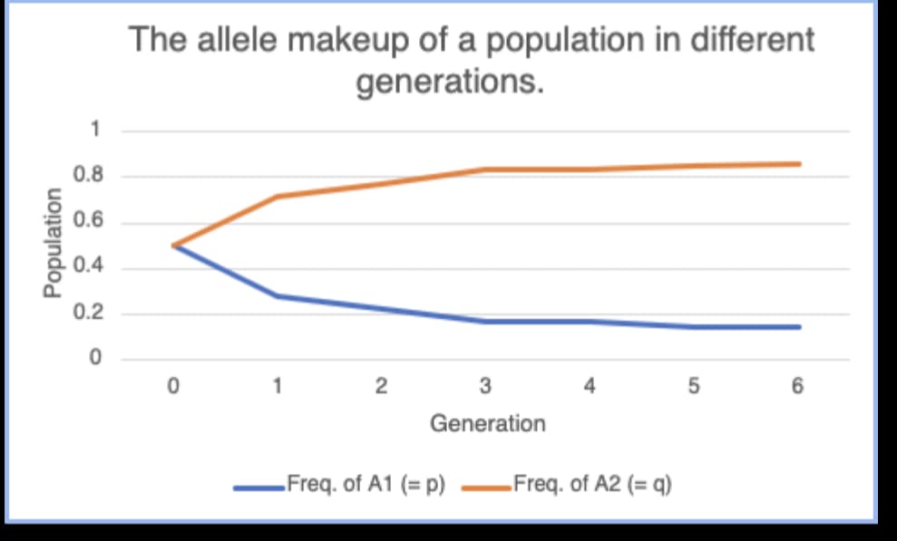 The allele makeup of a population in different
generations.
1
0.8
0.6
0.4
0.2
1
2
4
6
Generation
Freq. of A1 (= p)
Freq. of A2 (= q)
Population
