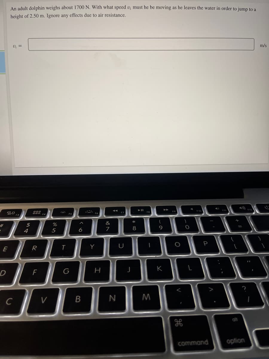 An adult dolphin weighs about 1700 N. With what speed v; must he be moving as he leaves the water in order to jump to a
height of 2.50 m. Ignore any effects due to air resistance.
Uj =
m/s
吕0
F3
F5
&
23
24
4
5
6
8
P
Y
K
F
G
V
alt
command
opfion
