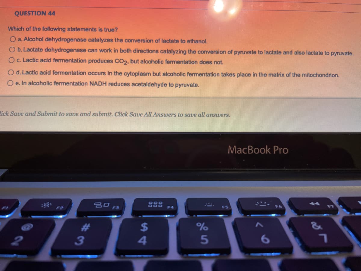 QUESTION 44
Which of the following statements is true?
O a. Alcohol dehydrogenase catalyzes the conversion of lactate to ethanol.
O b. Lactate dehydrogenase can work in both directions catalyzing the conversion of pyruvate to lactate and also lactate to pyruvate.
O c. Lactic acid fermentation produces CO₂, but alcoholic fermentation does not.
O d. Lactic acid fermentation occurs in the cytoplasm but alcoholic fermentation takes place in the matrix of the mitochondrion.
O e. In alcoholic fermentation NADH reduces acetaldehyde to pyruvate.
lick Save and Submit to save and submit. Click Save All Answers to save all answers.
F4
$
%
700405
2
F2
#
3
20
MacBook Pro
F3
6
1