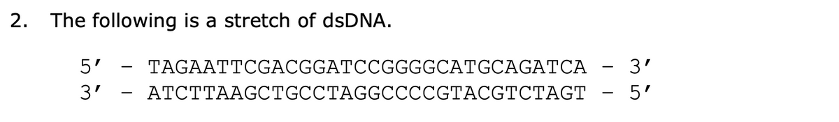 2.
The following is a stretch of dsDNA.
5'
3'
-
-
TAGAATTCGACGGATCCGGGGCATGCAGATCA - 3′
ATCTTAAGCTGCCTAGGCCCCGTACGTCTAGT
-
5'