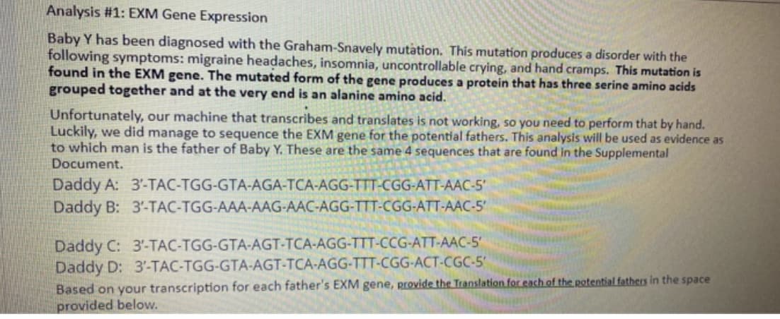 Analysis #1: EXM Gene Expression
Baby Y has been diagnosed with the Graham-Snavely mutation. This mutation produces a disorder with the
following symptoms: migraine headaches, insomnia, uncontrollable crying, and hand cramps. This mutation is
found in the EXM gene. The mutated form of the gene produces a protein that has three serine amino acids
grouped together and at the very end is an alanine amino acid.
Unfortunately, our machine that transcribes and translates is not working, so you need to perform that by hand.
Luckily, we did manage to sequence the EXM gene for the potential fathers. This analysis will be used as evidence as
to which man is the father of Baby Y. These are the same 4 sequences that are found in the Supplemental
Document.
Daddy A: 3-TAC-TGG-GTA-AGA-TCA-AGG-TTT-CGG-ATT-AAC-5'
Daddy B: 3'-TAC-TGG-AAA-AAG-AAC-AGG-TTT-CGG-ATT-AAC-5
Daddy C: 3'-TAC-TGG-GTA-AGT-TCA-AGG-TTT-CCG-ATT-AAC-5'
Daddy D: 3'-TAC-TGG-GTA-AGT-TCA-AGG-TTT-CGG-ACT-CGC-5
Based on your transcription for each father's EXM gene, provide the Translation for each of the potential fathers in the space
provided below.
