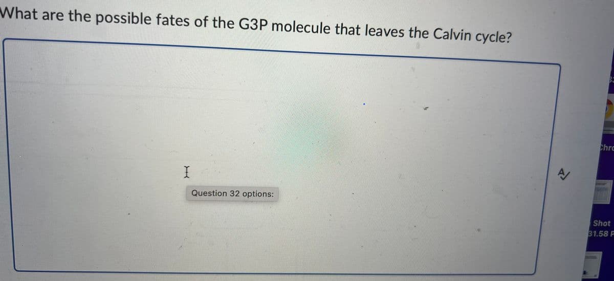 What are the possible fates of the G3P molecule that leaves the Calvin cycle?
I
Question 32 options:
A
B3
Chro
Shot
31.58 P