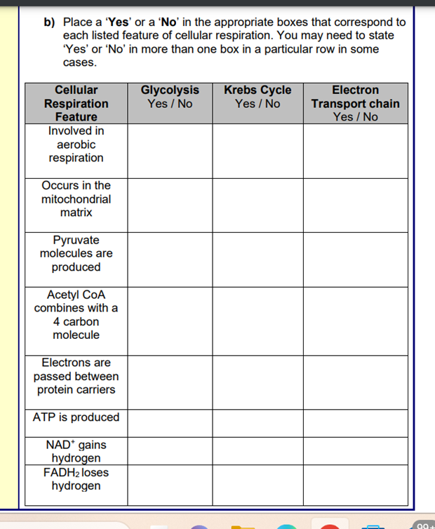 b) Place a 'Yes' or a 'No' in the appropriate boxes that correspond to
each listed feature of cellular respiration. You may need to state
'Yes' or 'No' in more than one box in a particular row in some
cases.
Cellular
Respiration
Feature
Involved in
aerobic
respiration
Occurs in the
mitochondrial
matrix
Pyruvate
molecules are
produced
Acetyl CoA
combines with a
4 carbon
molecule
Electrons are
passed between
protein carriers
ATP is produced
NAD* gains
hydrogen
FADH₂ loses
hydrogen
Glycolysis
Yes / No
Krebs Cycle
Yes / No
Electron
Transport chain
Yes/No
90+