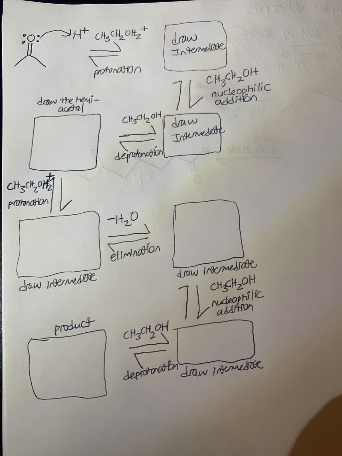 :0:унт снасЊ онг
F
protonation
draw the reyi-
acetal
снаскона
protonation
1
-
draw intermedie
product
+
Снзонгон
deprotonation
-H₂O
elimination
снаснзон
стор
Intermedive
11
draw
Interredate
deprotonation
200065/b 2014
kab
MONCAL HOTH>² HO
nucleophilic
addition
17
SACH
draw Intermediate
72
CH₂CH₂OH
nucleophilic
addition
kwat
draw ivemedrove