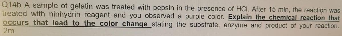 Q14b A sample of gelatin was treated with pepsin in the presence of HCI. After 15 min, the reaction was
treated with ninhydrin reagent and you observed a purple color. Explain the chemical reaction that
occurs that lead to the color change stating the substrate, enzyme and product of your reaction.
2m
