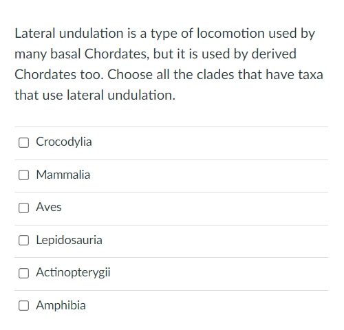 Lateral undulation is a type of locomotion used by
many basal Chordates, but it is used by derived
Chordates too. Choose all the clades that have taxa
that use lateral undulation.
O Crocodylia
Mammalia
Aves
O Lepidosauria
O Actinopterygii
O Amphibia
