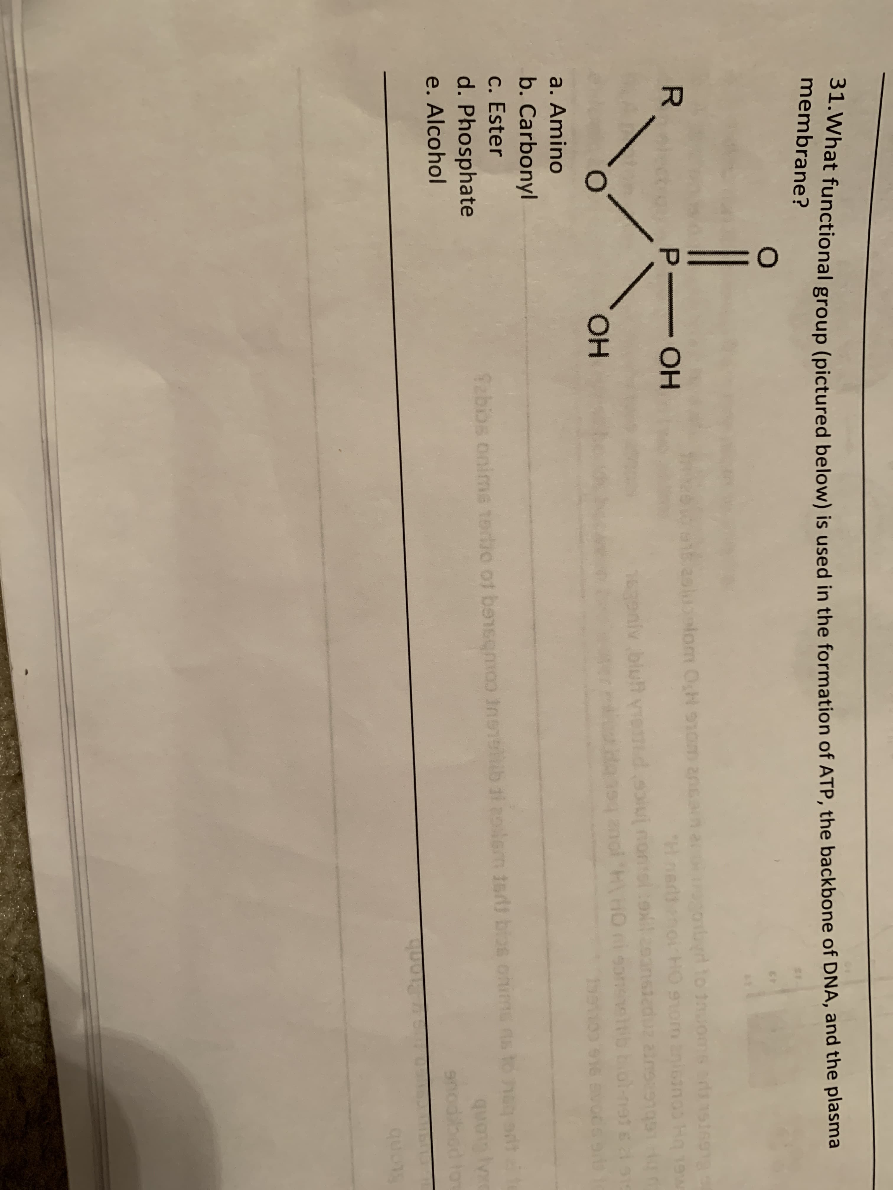 S1.What functional group (pictured below) is used in the formation of ATP, the backbone of DNA, and the plasma
membrane?
R.
- HO-
asluolom OgH 910m ansa
obyd to inuoms adisi69
101
P-
Hnedenoi HO 9tom anisinos H 19w
1639
eniv blut viend ou nontel:oceansied
bol-ngtsl s19
1591
a. Amino
b. Carbonyl
c. Ester
d. Phosphate
e. Alcohol
Sabios onime Tertio of bensemoo Insietib ti aolem tsrll blas onims ns to neg at to
quang ly
snodibod for
ogh
quotg
