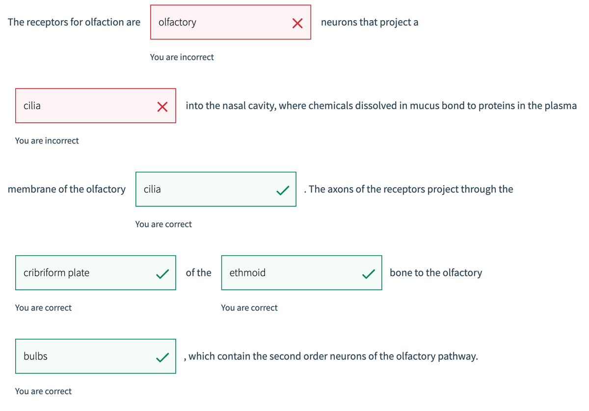 The receptors for olfaction are
cilia
You are incorrect
membrane of the olfactory
cribriform plate
You are correct
bulbs
You are correct
olfactory
You are incorrect
cilia
into the nasal cavity, where chemicals dissolved in mucus bond to proteins in the plasma
You are correct
of the
ethmoid
X neurons that project a
You are correct
. The axons of the receptors project through the
bone to the olfactory
which contain the second order neurons of the olfactory pathway.