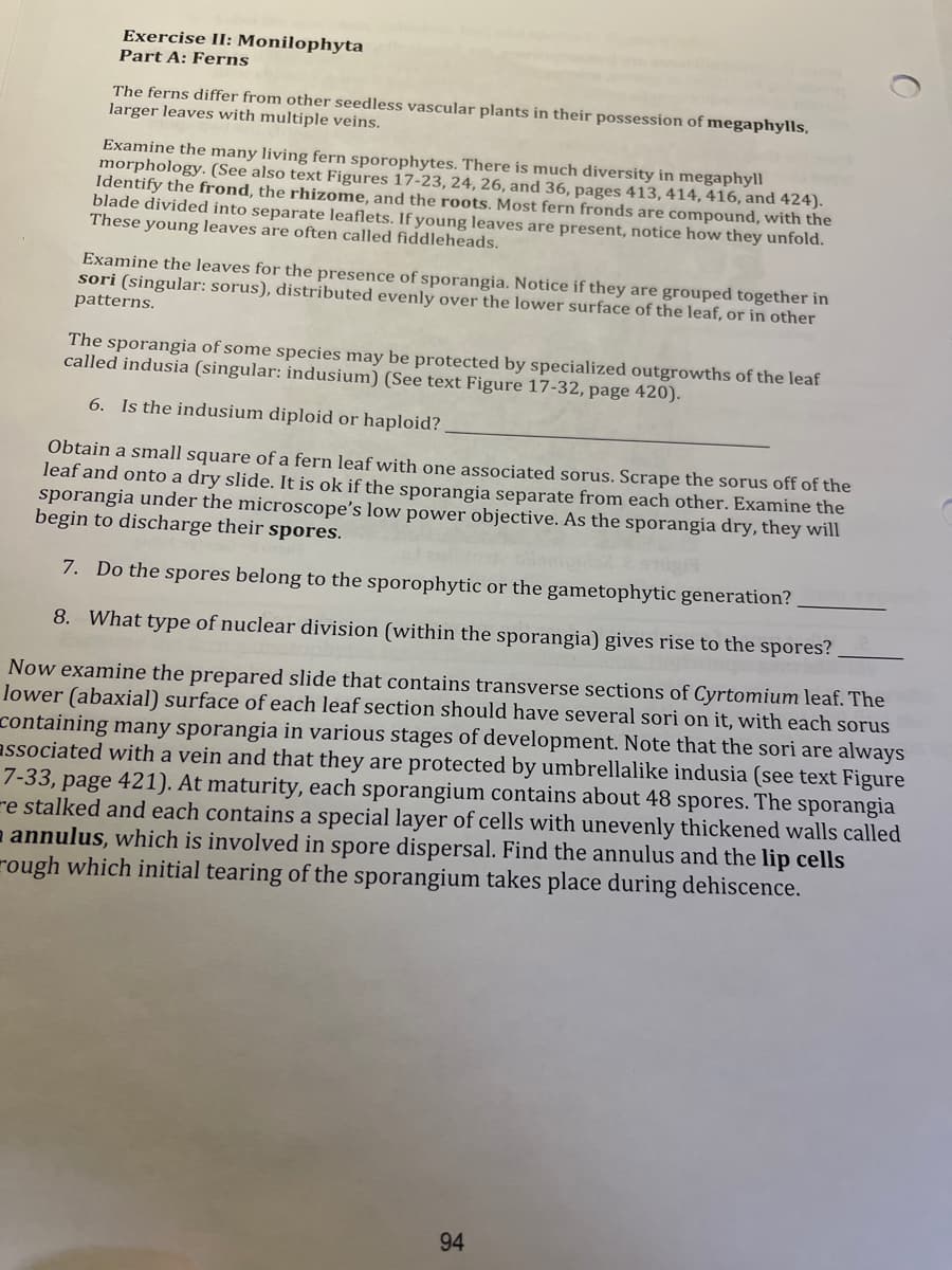 Exercise II: Monilophyta
Part A: Ferns
The ferns differ from other seedless vascular plants in their possession of megaphylls,
larger leaves with multiple veins.
Examine the many living fern sporophytes. There is much diversity in megaphyll
morphology. (See also text Figures 17-23, 24, 26, and 36, pages 413, 414, 416, and 424).
Identify the frond, the rhizome, and the roots. Most fern fronds are compound, with the
blade divided into separate leaflets. If young leaves are present, notice how they unfold.
These young leaves are often called fiddleheads.
Examine the leaves for the presence of sporangia. Notice if they are grouped together in
sori (singular: sorus), distributed evenly over the lower surface of the leaf, or in other
patterns.
The sporangia of some species may be protected by specialized outgrowths of the leaf
called indusia (singular: indusium) (See text Figure 17-32, page 420).
6. Is the indusium diploid or haploid?.
Obtain a small square of a fern leaf with one associated sorus. Scrape the sorus off of the
leaf and onto a dry slide. It is ok if the sporangia separate from each other. Examine the
sporangia under the microscope's low power objective. As the sporangia dry, they will
begin to discharge their spores.
7. Do the spores belong to the sporophytic or the gametophytic generation?
8. What type of nuclear division (within the sporangia) gives rise to the spores?
Now examine the prepared slide that contains transverse sections of Cyrtomium leaf. The
lower (abaxial) surface of each leaf section should have several sori on it, with each sorus
containing many sporangia in various stages of development. Note that the sori are always
associated with a vein and that they are protected by umbrellalike indusia (see text Figure
7-33, page 421). At maturity, each sporangium contains about 48 spores. The sporangia
e stalked and each contains a special layer of cells with unevenly thickened walls called
annulus, which is involved in spore dispersal. Find the annulus and the lip cells
rough which initial tearing of the sporangium takes place during dehiscence.
94