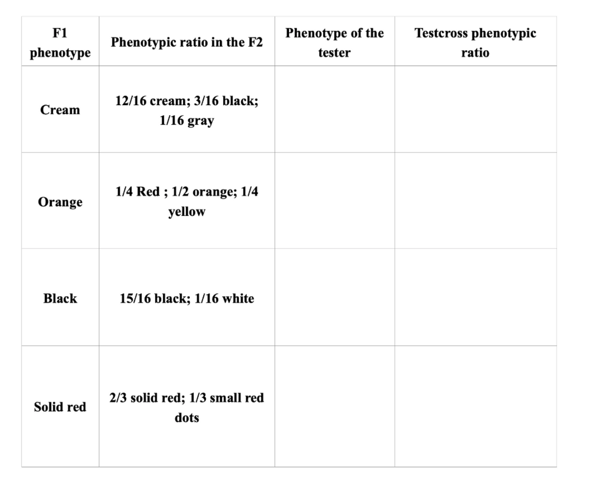 F1
Phenotype of the
Testcross phenotypic
Phenotypic ratio in the F2
phenotype
tester
ratio
12/16 cream; 3/16 black;
Cream
1/16 gray
1/4 Red ; 1/2 orange; 1/4
Orange
yellow
Black
15/16 black; 1/16 white
2/3 solid red; 1/3 small red
Solid red
dots
