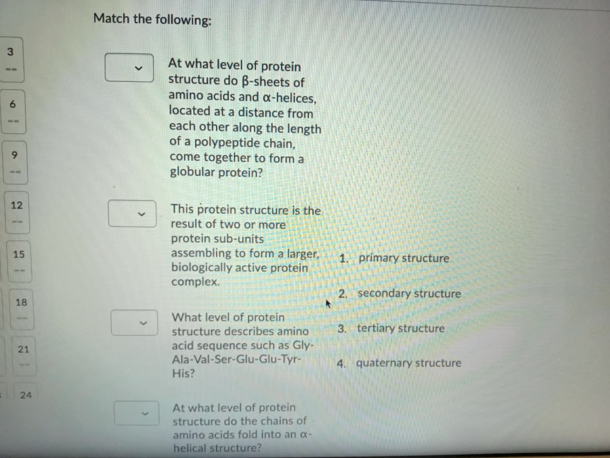 Match the following:
At what level of protein
structure do B-sheets of
amino acids and a-helices,
located at a distance from
each other along the length
of a polypeptide chain,
come together to form a
globular protein?
6.
12
This protein structure is the
result of two or more
protein sub-units
assembling to form a larger,
biologically active protein
complex.
15
1. primary structure
--
2. secondary structure
18
What level of protein
structure describes amino
acid sequence such as Gly-
Ala-Val-Ser-Glu-Glu-Tyr-
His?
3. tertiary structure
21
4. quaternary structure
24
At what level of protein
structure do the chains of
amino acids fold into an a-
helical structure?
