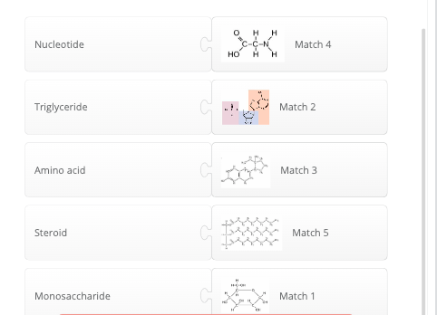 Nucleotide
Triglyceride
Amino acid
Steroid
Monosaccharide
НО
H
/6
A
A
C
H
Match 4
Match 2
Match 3
Match 5
Match 1