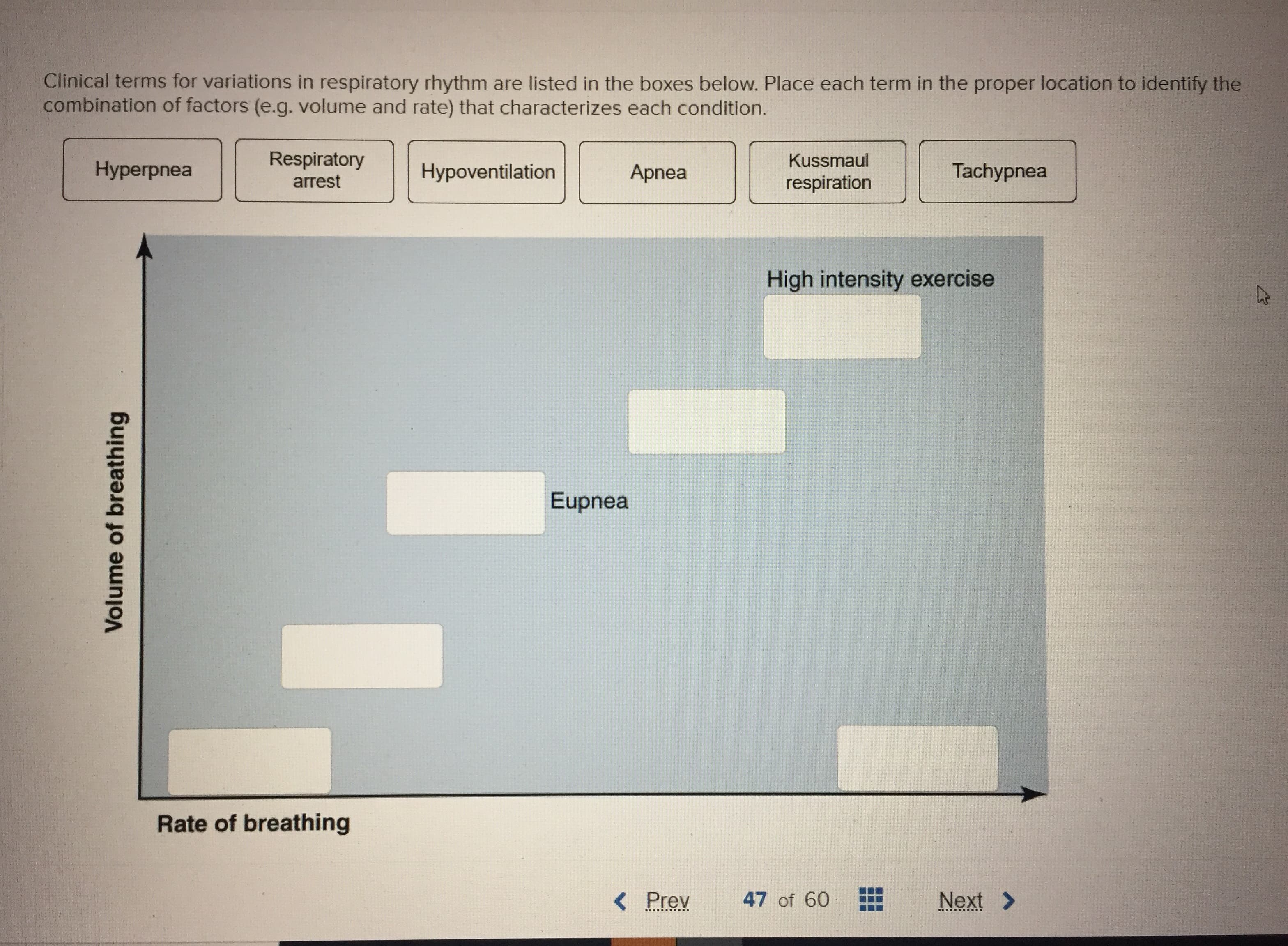 Clinical terms for variations in respiratory rhythm are listed in the boxes below. Place each term in the proper location to identify the
combination of factors (e.g. volume and rate) that characterizes each condition.
Respiratory
Kussmaul
Нyperpnea
Tachypnea
Hypoventilation
Apnea
arrest
respiration
High intensity exercise
Eupnea
Rate of breathing
47 of 60
Prev
Next>
Volume of breathing
