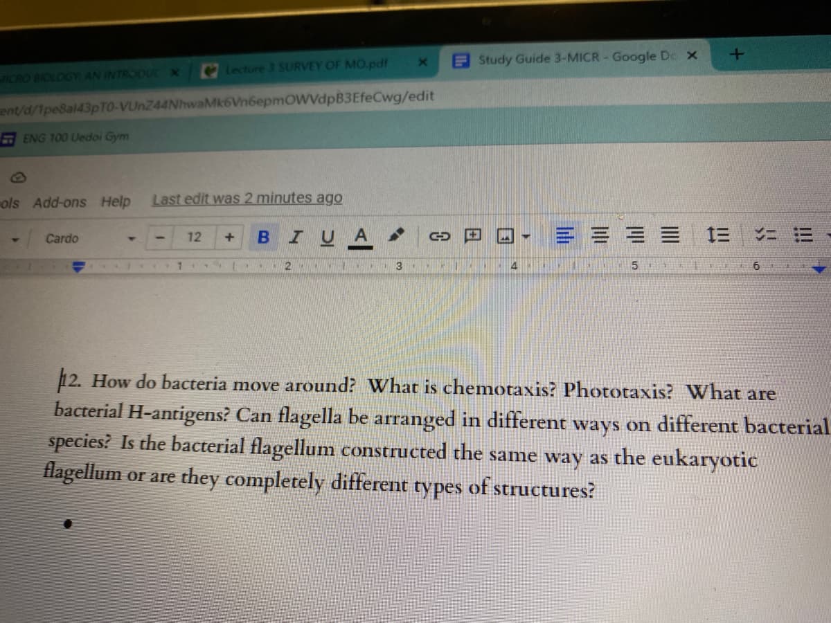 E Study Guide 3-MICR- Google Do x
Lecture 3 SURVEY OF MO.pdf
ICRO BIOLOGY AN INTRODUC
ent/d/1pe8al43pTO-VUnZ44NhwaMk6Vn6epmOWVdpB3EfeCwg/edit
ENG 100 Uedoi Gym
ols Add-ons Help
Last edit was 2 minutes ago
B IU
三
ニ 三
Cardo
12
3
4
6.
12. How do bacteria move around? What is chemotaxis? Phototaxis? What are
bacterial H-antigens? Can flagella be arranged in different ways on different bacterial
species? Is the bacterial flagellum constructed the same way as the eukaryotic
flagellum or are they completely different types of structures?
lili
