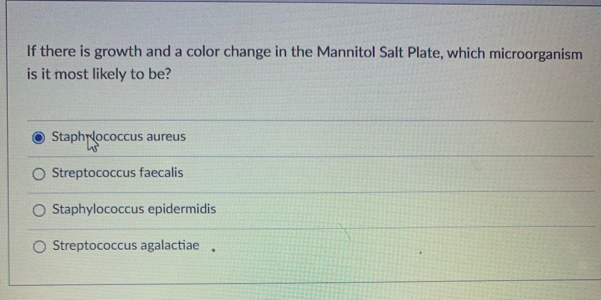 If there is growth and a color change in the Mannitol Salt Plate, which microorganism
is it most likely to be?
Staphrlococcus aureus
O Streptococcus faecalis
O Staphylococcus epidermidis
Streptococcus agalactiae
