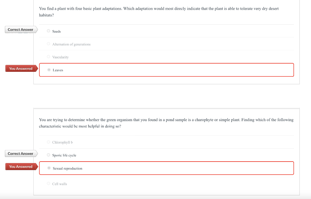 You find a plant with four basic plant adaptations. Which adaptation would most direcly indicate that the plant is able to tolerate very dry desert
habitats?
Correct Answer
O Seeds
Alternation of generations
Vascularity
You Answered
O Leaves
You are trying to determine whether the green organism that you found in a pond sample is a charophyte or simple plant. Finding which of the following
characteristic would be most helpful in doing so?
O Chlorophyll b
Correct Answer
O Sporic life cycle
You Answered
Sexual reproduction
Cell walls
