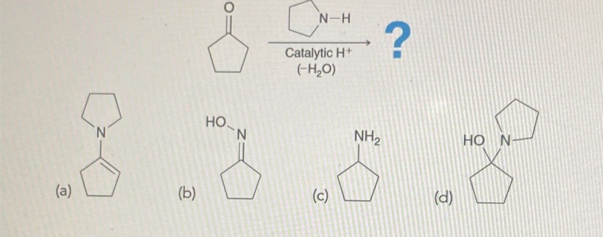 (a)
(b)
HO
N
N-H
Catalytic H+
(-H₂O)
?
(c)
NH2
HO N
(d)