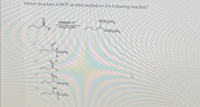 Which structure is NOT an intermediate in the following reaction?
O
O O
O
H
Catalytic H+
CH CH OH
OCH₂CH₂
POH₂
OCH₂CH₂
SCHICHS
OCH₂CH₂
OCH₂CH3
27