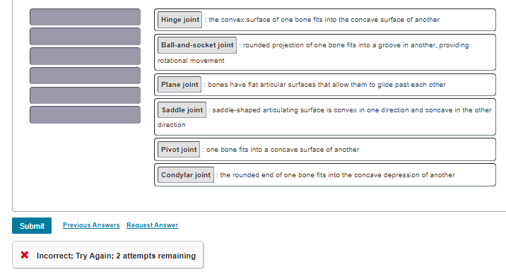Hinge joint : the convex surface of one bone fits into the concave surface of another
Ball-and-socket joint : rounded projection of one bone fits into a groove in another, providing
rotational movement
Plane joint : bones have flat articular surfaces that allow them to glide past each other
Saddle joint : saddle-shaped articulating surface is convex in one direction and concave in the other
direction
Pivot joint : one bone fits into a concave surface of another
Condylar joint : the rounded end of one bone fits into the concave depression of another
Submit
Previous Answers Request Answer
X Incorrect; Try Again; 2 attempts remaining
