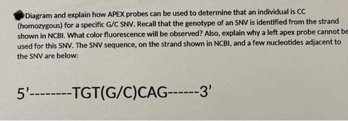 Diagram and explain how APEX probes can be used to determine that an individual is CC
(homozygous) for a specific G/C SNV. Recall that the genotype of an SNV is identified from the strand
shown in NCBI. What color fluorescence will be observed? Also, explain why a left apex probe cannot be
used for this SNV. The SNV sequence, on the strand shown in NCBI, and a few nucleotides adjacent to
the SNV are below:
5'-------TGT(G/C)CAG------3'
