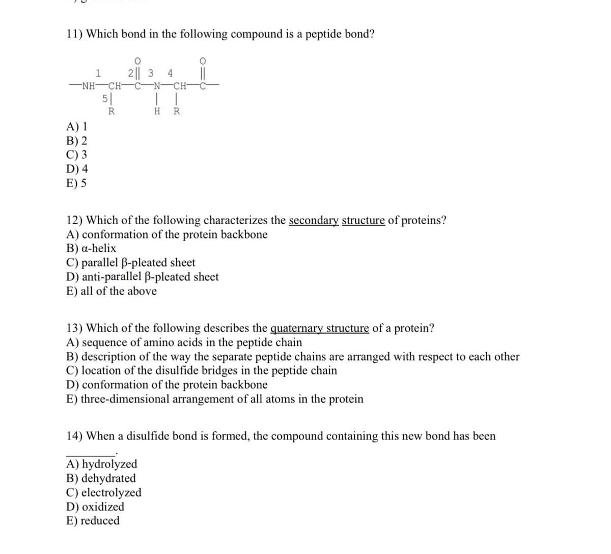 11) Which bond in the following compound is a peptide bond?
1
2|| 3 4
—NHCH
C N CH
5|
R
H R
A) 1
B) 2
C) 3
D) 4
E) 5
12) Which of the following characterizes the secondary structure of proteins?
A) conformation of the protein backbone
B) α-helix
C) parallel ẞ-pleated sheet
D) anti-parallel ẞ-pleated sheet
E) all of the above
13) Which of the following describes the quaternary structure of a protein?
A) sequence of amino acids in the peptide chain
B) description of the way the separate peptide chains are arranged with respect to each other
C) location of the disulfide bridges in the peptide chain
D) conformation of the protein backbone
E) three-dimensional arrangement of all atoms in the protein
14) When a disulfide bond is formed, the compound containing this new bond has been
A) hydrolyzed
B) dehydrated
C) electrolyzed
D) oxidized
E) reduced