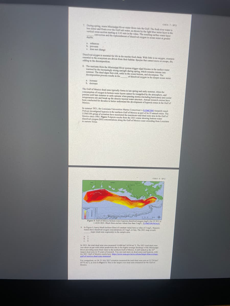 COS 8-7-SP22
7. During spring, warm Mississippi River water flows into the Gulf. The fresh river water is
less dense and floats over the Gulf salt water, as shown by the light blue water layer in the
vertical cross-section starting at 2:43 min in the video. The resulting surface water layer
convection and the replenishment of dissolved oxygen in ocean water at greater
depths.
a enhances
b. prevents
c. does not change
Dissolved oxygen is essential for life in the marine food chain. With little to no oxygen, creatures
essential to the ecosystem are driven from their habitat. Species that cannot move or escape, die,
adding to the decomposition.
8. The nutrients from the Mississippi River system trigger algal blooms in the surface water
warmed by the increasingly strong sunlight during spring, which remains intense into
summer. The dead algae then sink, settle to the ocean bottom, and decompose. The
decomposition process results in the of dissolved oxygen in the deeper ocean water.
a increase
b. decrease
The Gulf of Mexico dead zone typically forms in late spring and early summer, when the
consumption of oxygen in bottom water layers cannot be resupplied by the atmosphere, and
persists until late summer or early autumn when passing storms (including hurricanes) and cooler
temperatures stir and break up the density-layered water structure. Annual research cruises have
been conducted for decades to better understand the development of hypoxis zones in the Gulf of
Mexico.
In summer 2021, the Louisiana Universities Marine Consortium's (LUMCON) research vessel
Pelican investigated hypoxia in the northern Gulf of Mexico as part of its 35 annual cruise. The
LUMCON group of scientists have monitored the maximum total dead zone area in the Gulf of
Mexico since 1985. Figure 5 depicts results from the 2021 cruise showing bottom-water
dissolved
to eastern Texas (0) concentrations along the Gulf of Mexico coast extending from Louisiana
37
COS-8-SP22
BEA
Figure 5. Gulf of Mexico bottom-water bypoxia dissolved oxygen (mg/L.) for 25 JUL to
1 AUG 2021. Black lines enclose values less than 2 mg/L. (LLMCON/NOAA)
1
b. 2
c. 4
9. In Figure 5, heavy black isolines (lines of constant value) have a value of 2 mg/L. Hypoxic
waters have dissolved oxygen concentrations of 2 mg/L, or less. The 2021 map reveals
major dead zone segment(s) in the sample area
In 2021, the total dead zone area measured 16,400 km² (6334 mi.). The 2021 total dead zone
was about on par with initial predictions due to the higher average discharge of the Mississippi
River providing more fresh water to the northern Gulf of Mexico. It still ranked as the 16
largest dead zone in 35 years of research. You can read more on dead zones and hypoxia, with
the 2021 Gulf of Mexico results here: https://www.noaa.gov/news-release larger than average
gulf-of-mexico-dead-zone-measured.
For comparison, on 24-31 July 2017 scientists measured the total dead zone area at 22,730 km²
(8776 mi), as seen in Figure 6. This is the largest ever dead zone measured for the Gulf of
Mexico.